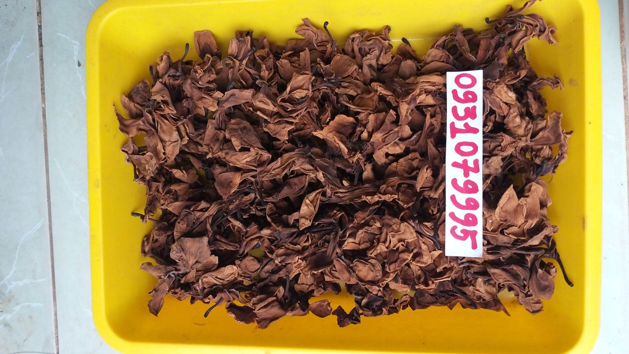 Hoa sứ - bông sứ trắng phơi khô 1kg
