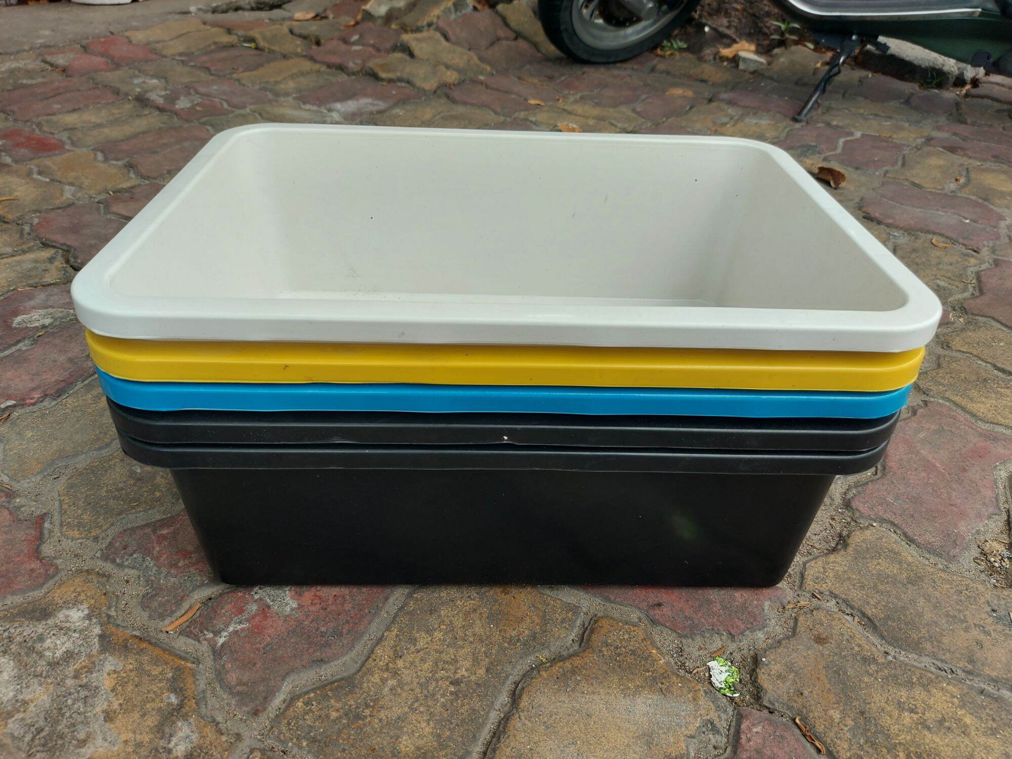 Combo 5 khay 20 lít(50x36x16cm) nuôi cá guppy, betta