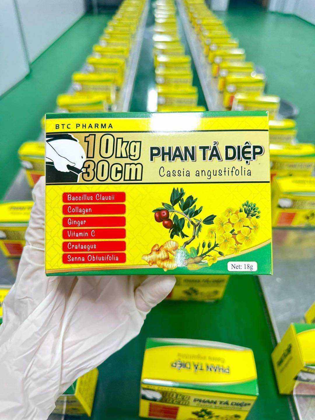 Đệ Nhất Giảm Mỡ Phan Tả Diệp giảm Mỡ Bụng Cho người Thừa Cân béo phì Cam kết Chính Hãng