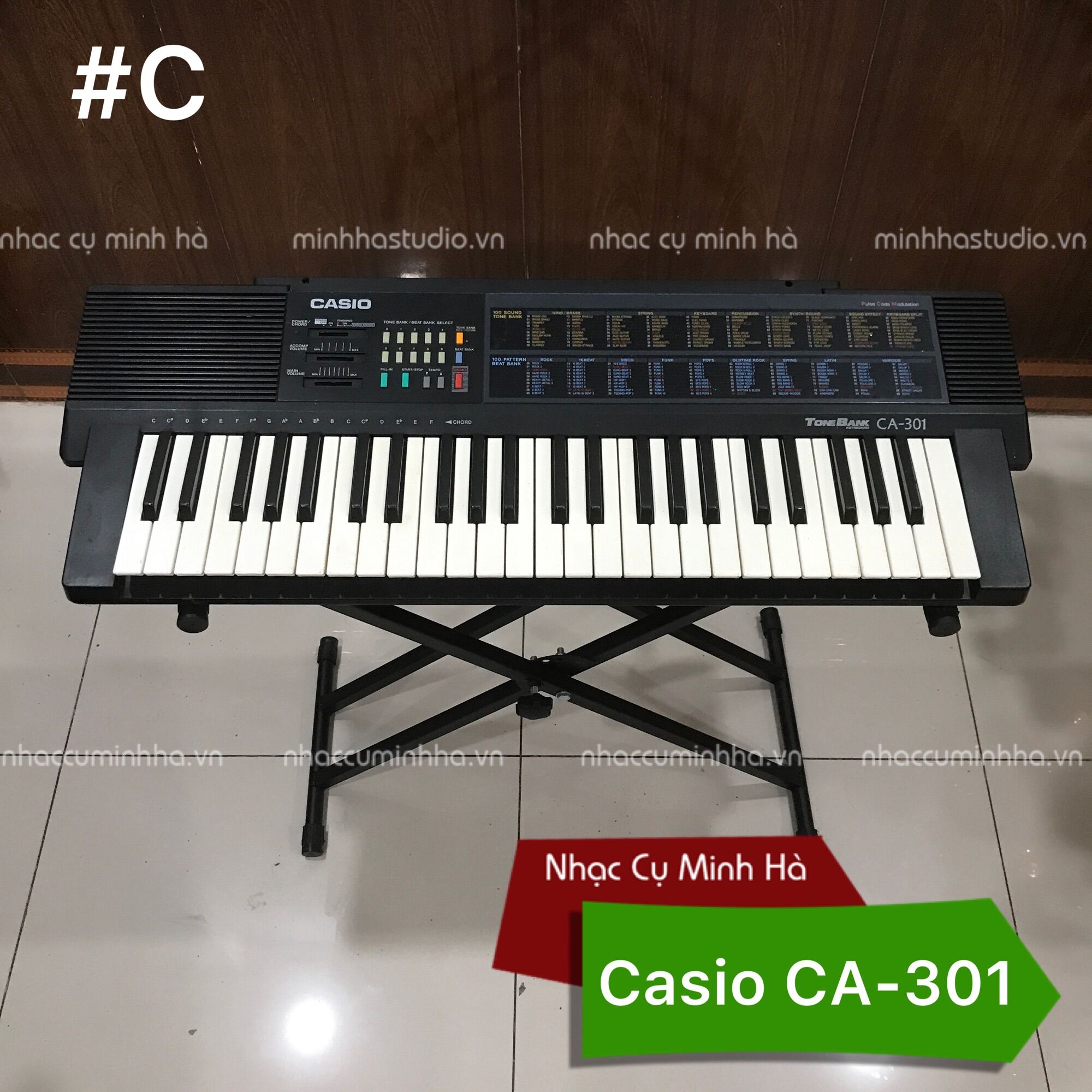 Đàn Organ Casio CA-301 tập organ piano, chơi hoàn hảo