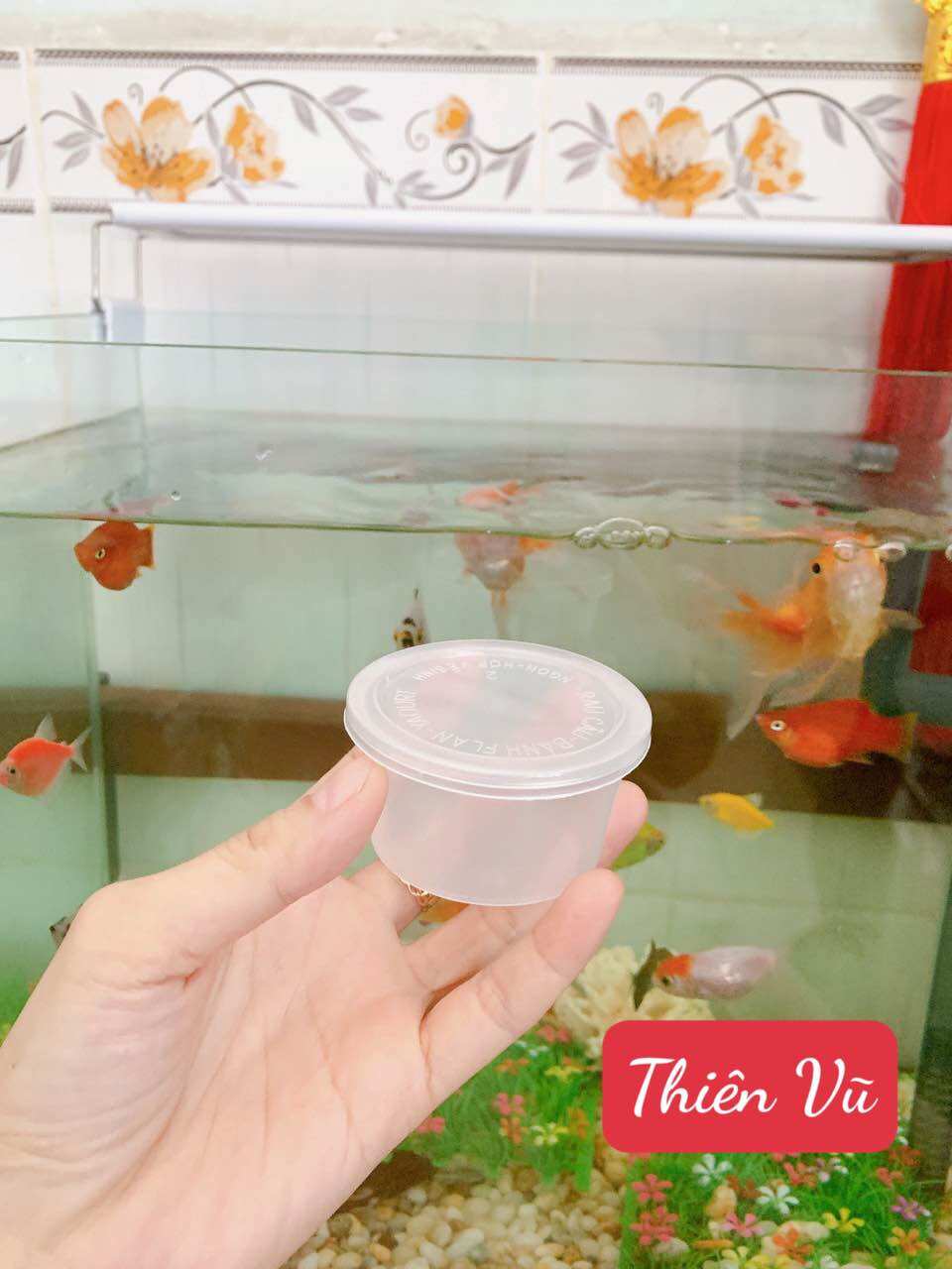 Hủ bánh flan vĩnh trường số 2 65ml