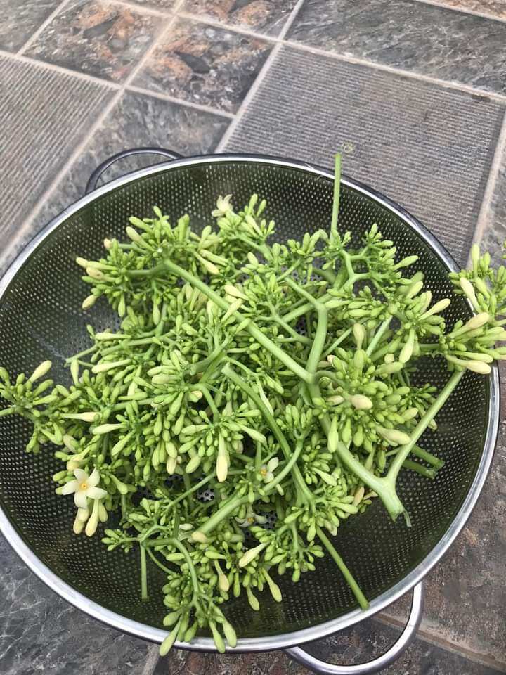 Bông Hoa Đu Đủ Đực Tươi