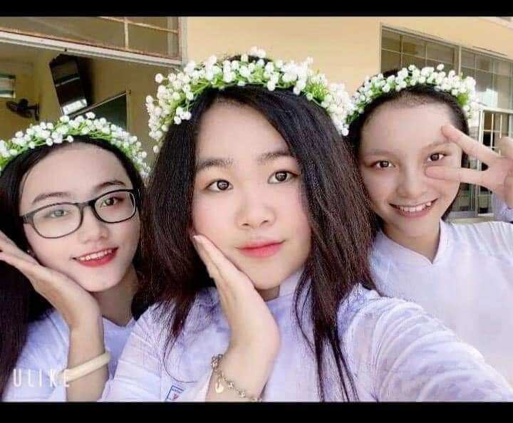 Vòng kỉ yếu / vòng nguyệt quế kết nhụy 201
