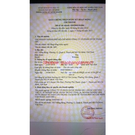 kim tiền thảo opc