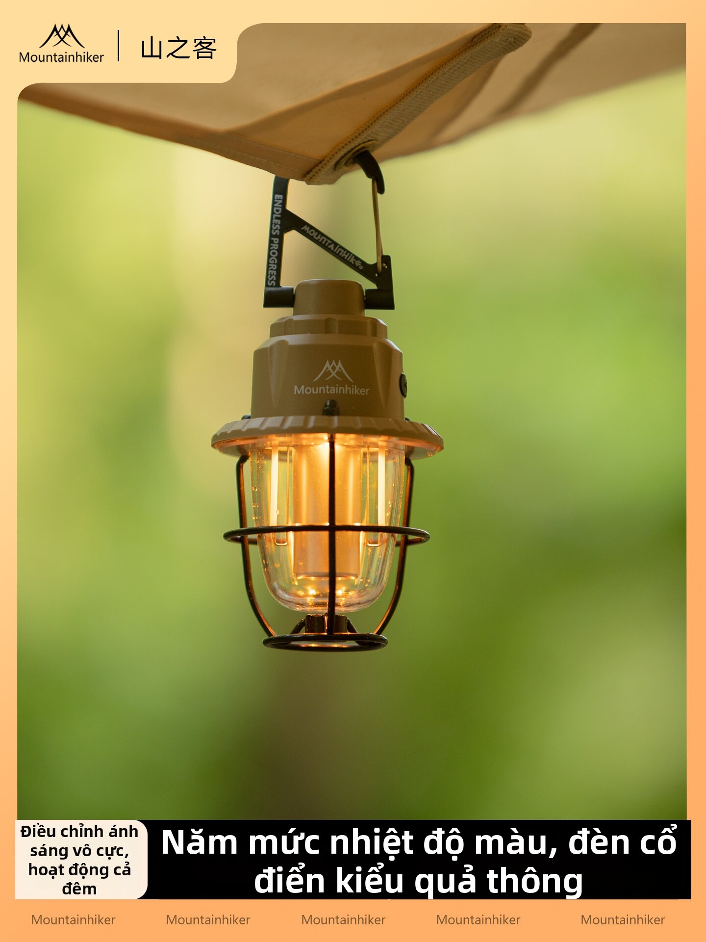 Vintage Charging Long Lasting Pinecone Lamp