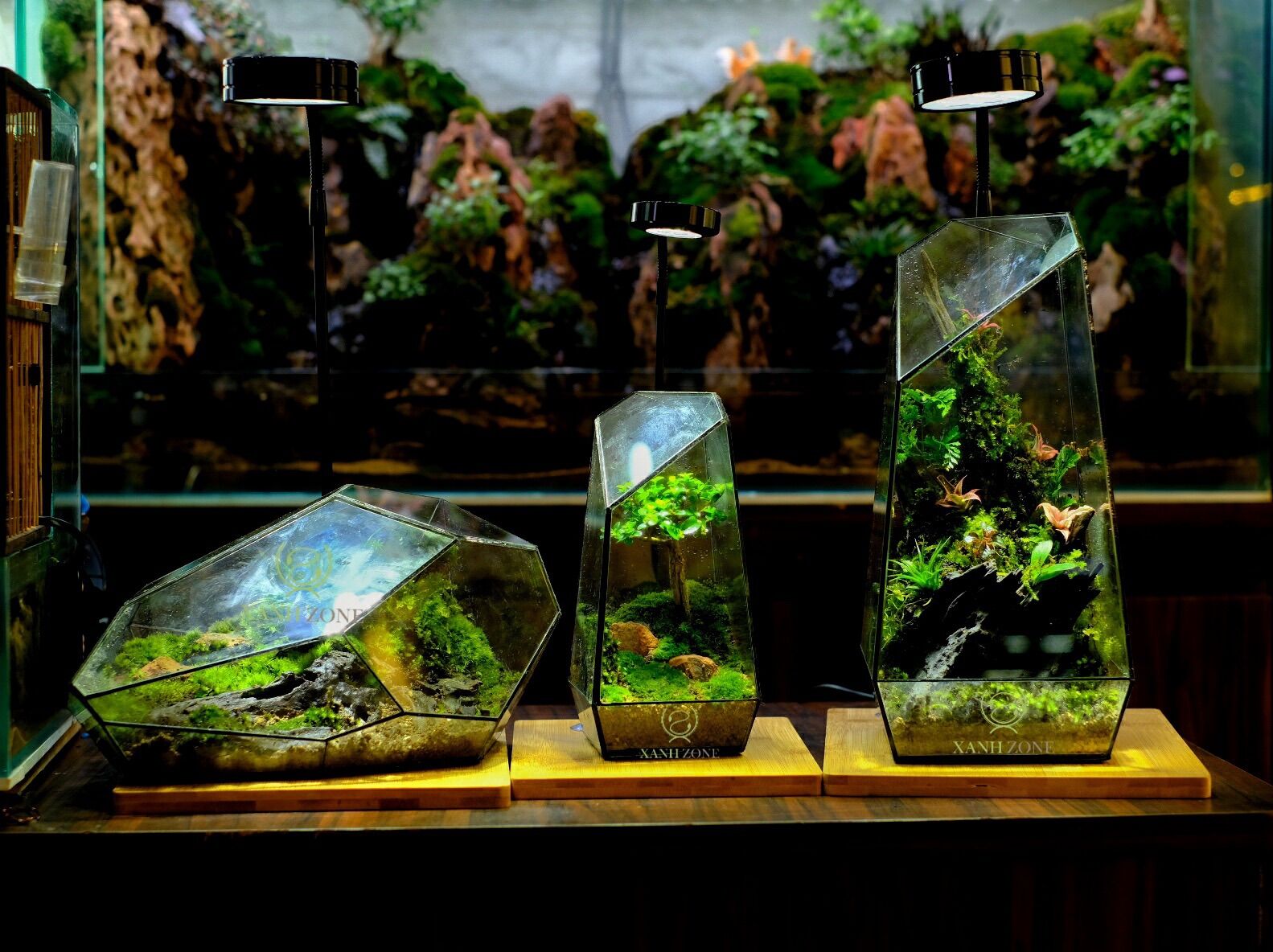 Đèn led rọi bamboo đế gỗ dùng cho bể cá, terarium
