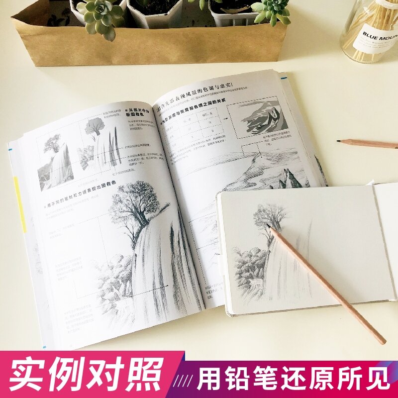 SÁCH PHÁC THẢO CÂY CỐI CƠ BẢN