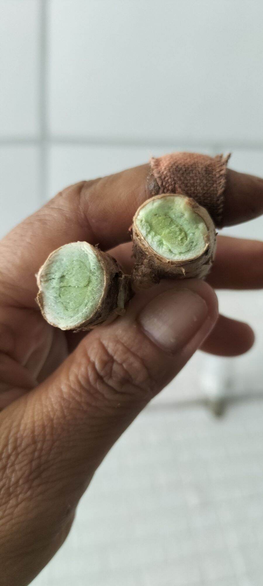 500g nghệ xanh chuẩn