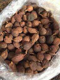 Thảo quả Lai Châu loại 50g  100g