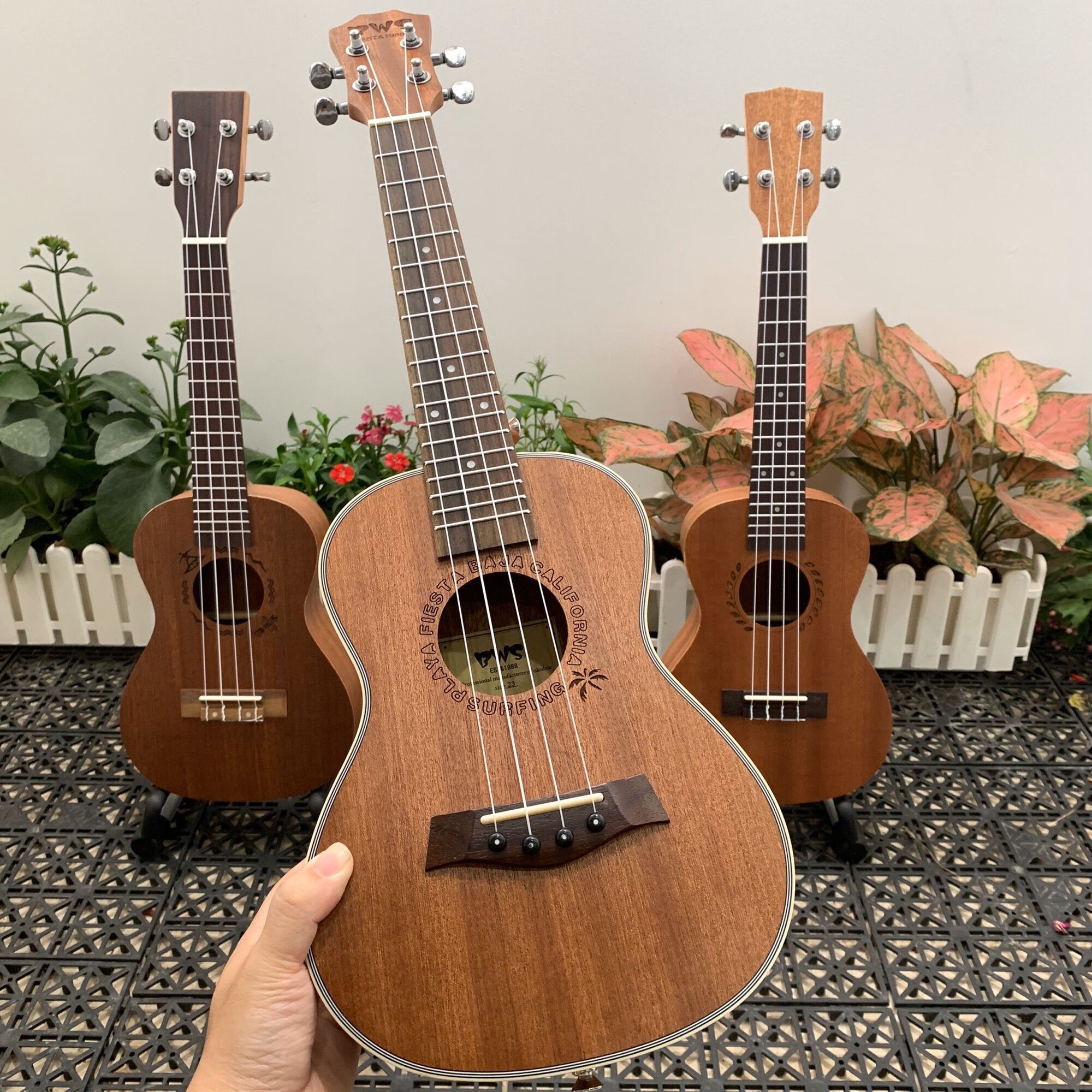 Đàn ukulele concert bws kẻ viền