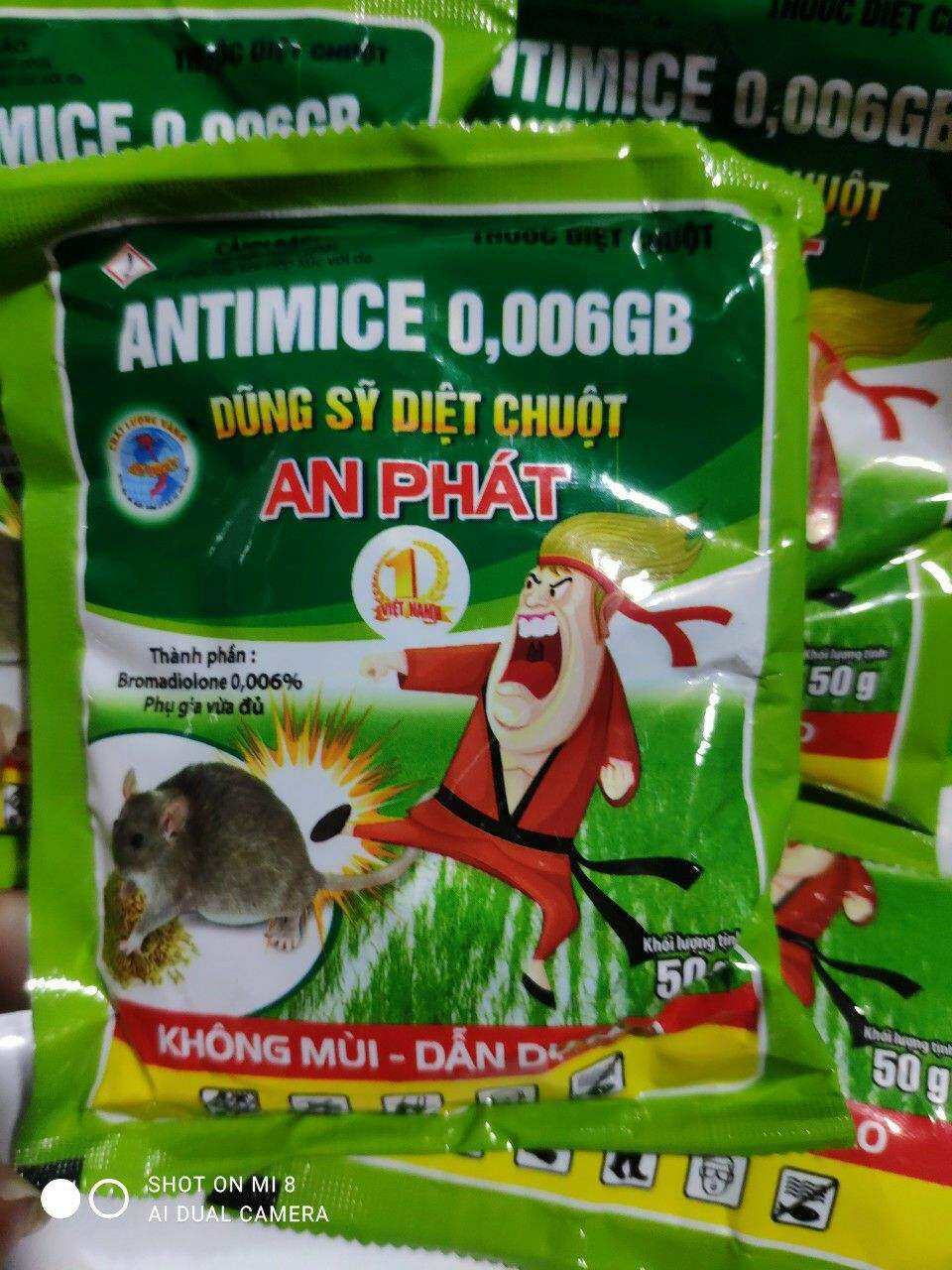 Bả lúa bẫy chuột siêu hiệu quả