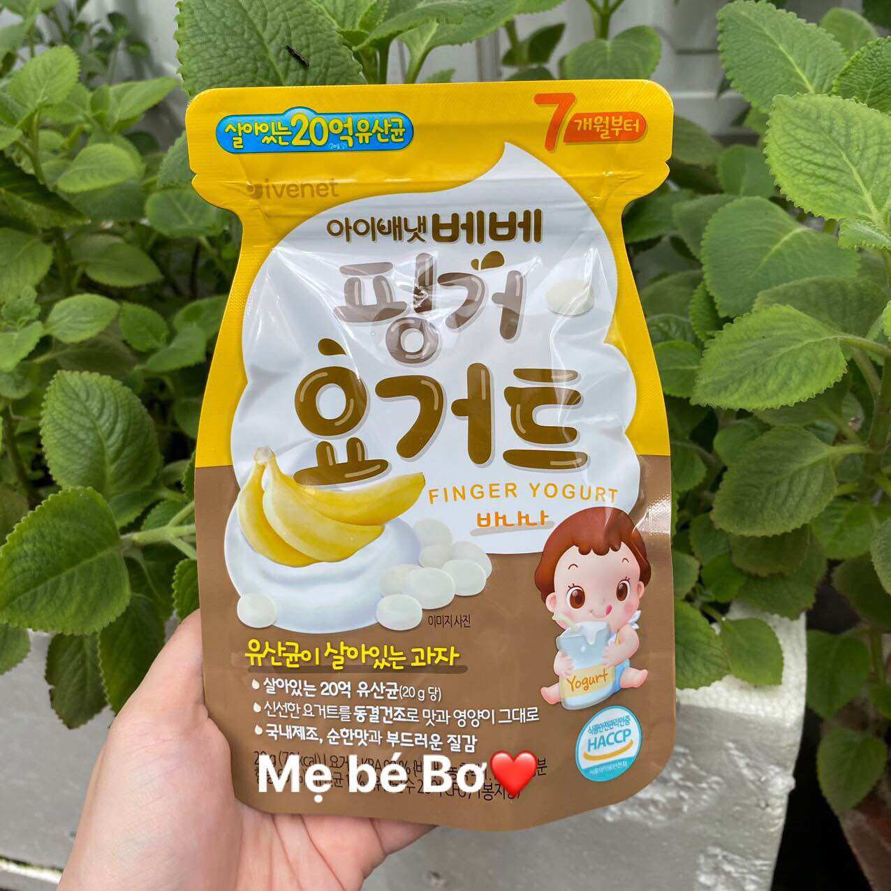 Sữa chua khô Ivenet Hàn Quốc cho bé từ 7m+