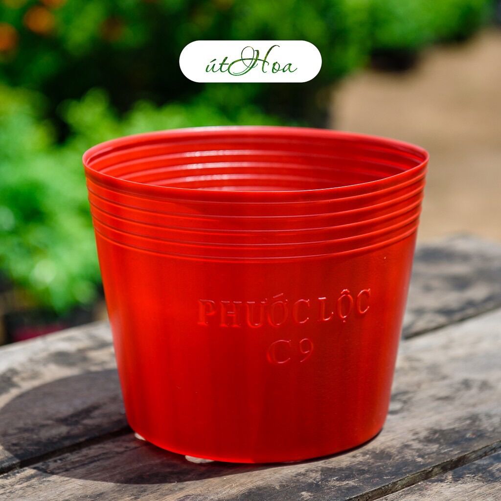 Chậu Nhựa Đỏ C9 (20x16cm) trồng hoa tết