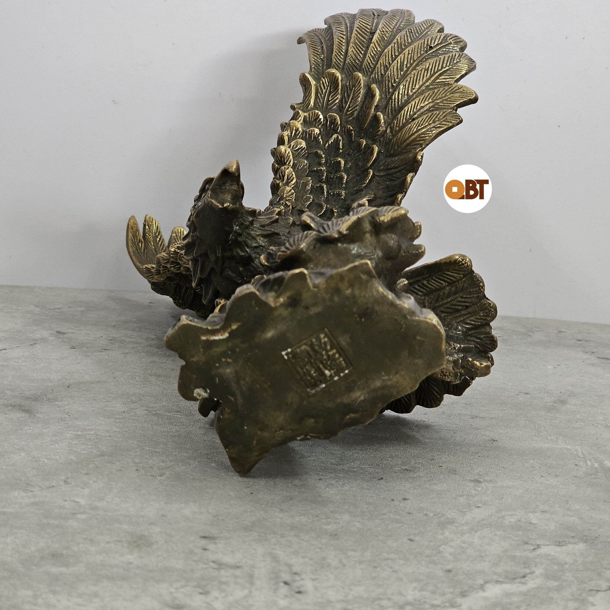 Đại bàng bằng đồng