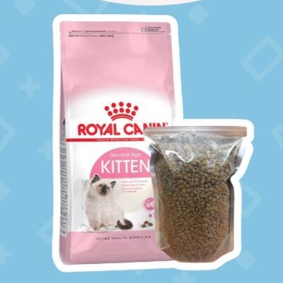 Hạt CANIN KITTEN cho mèo con
