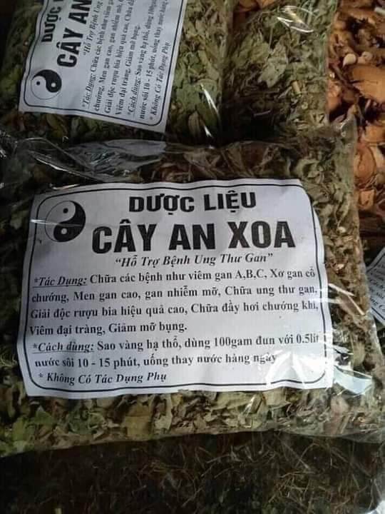 cây an xoa khô