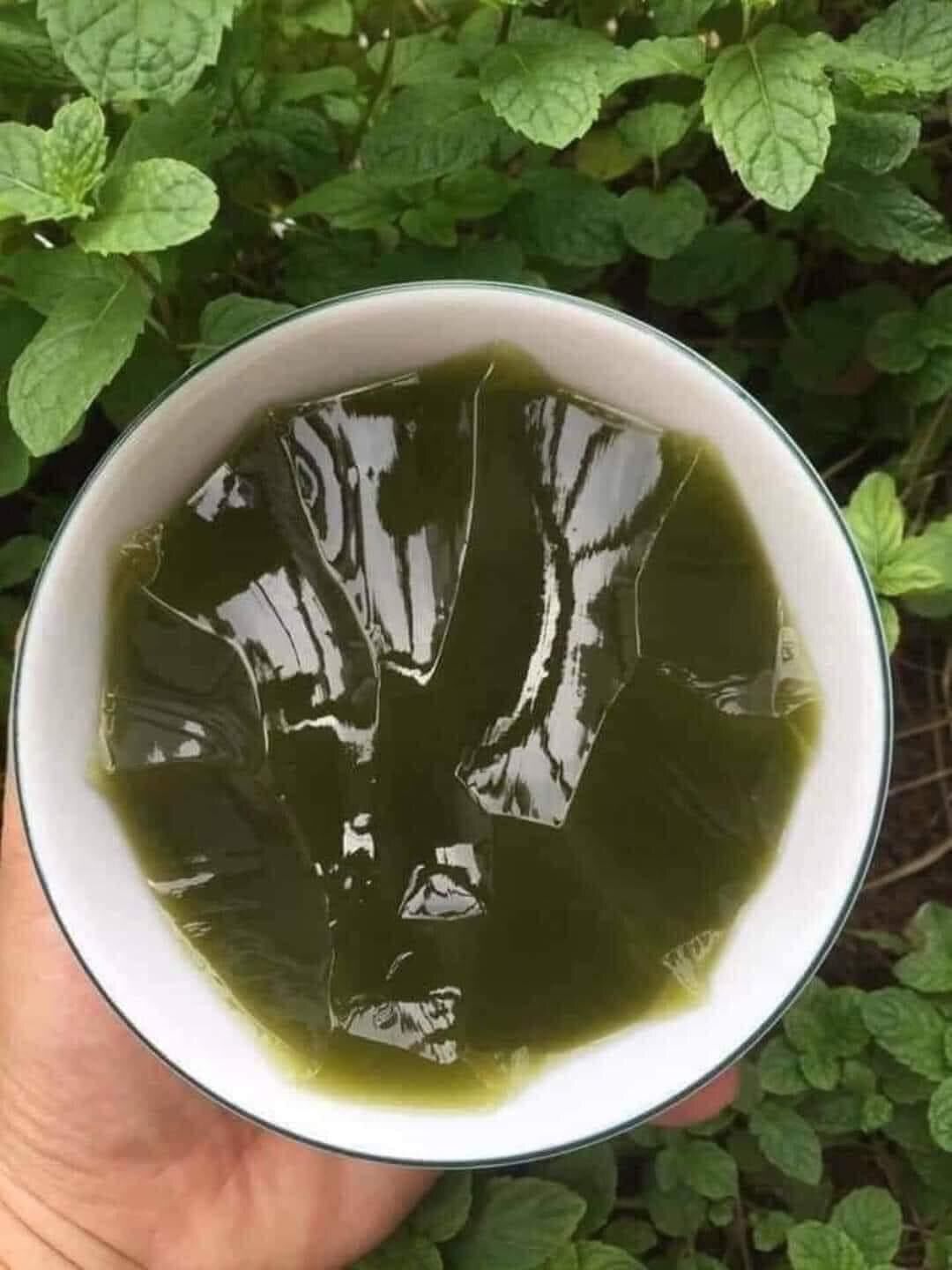 Bột thạch lá găng rừng ( sương sâm ) 500gr