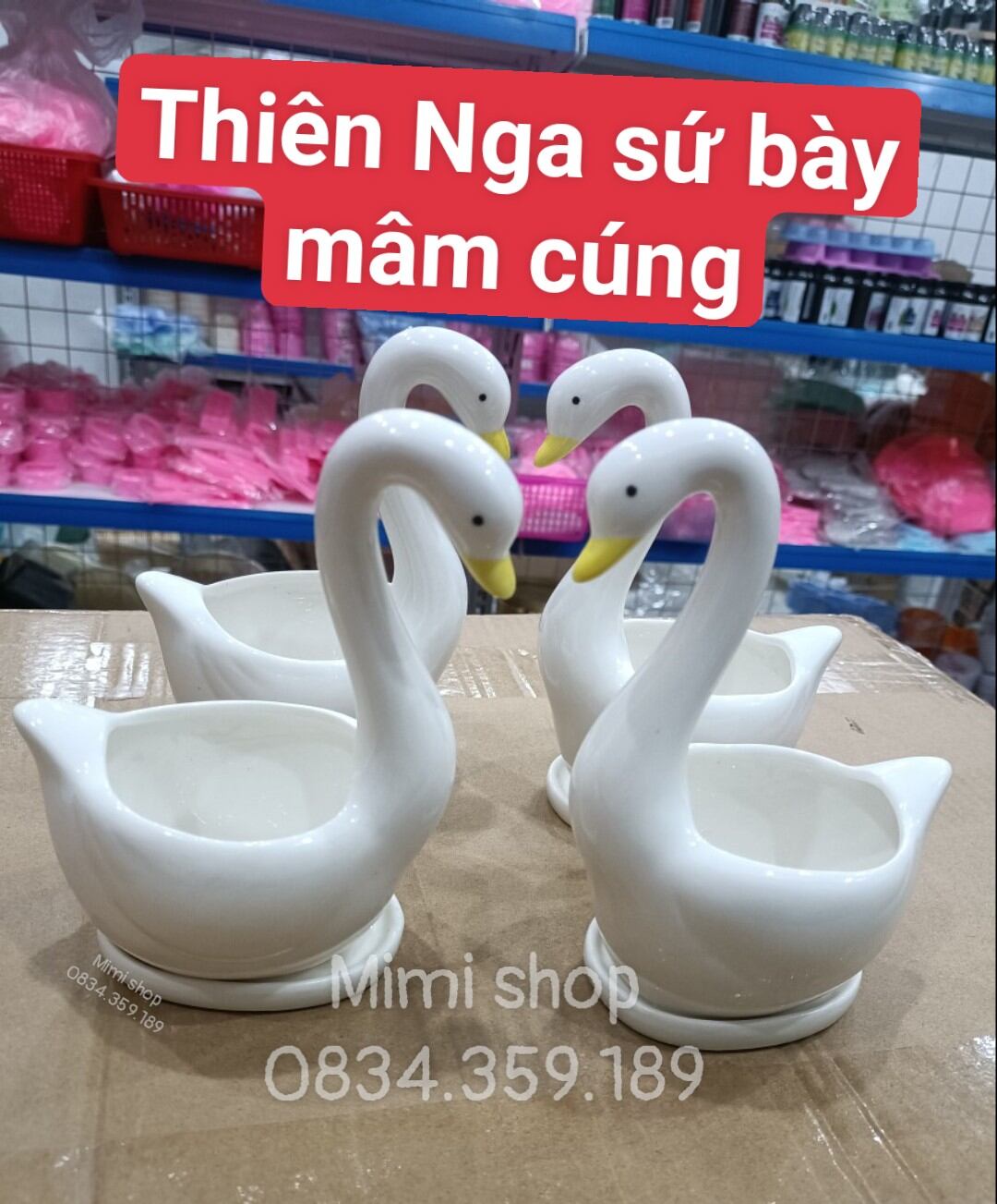 Thiên Nga sứ cắm hoa bày mâm thôi nôi, chậu thiên Nga trồng cây cảnh