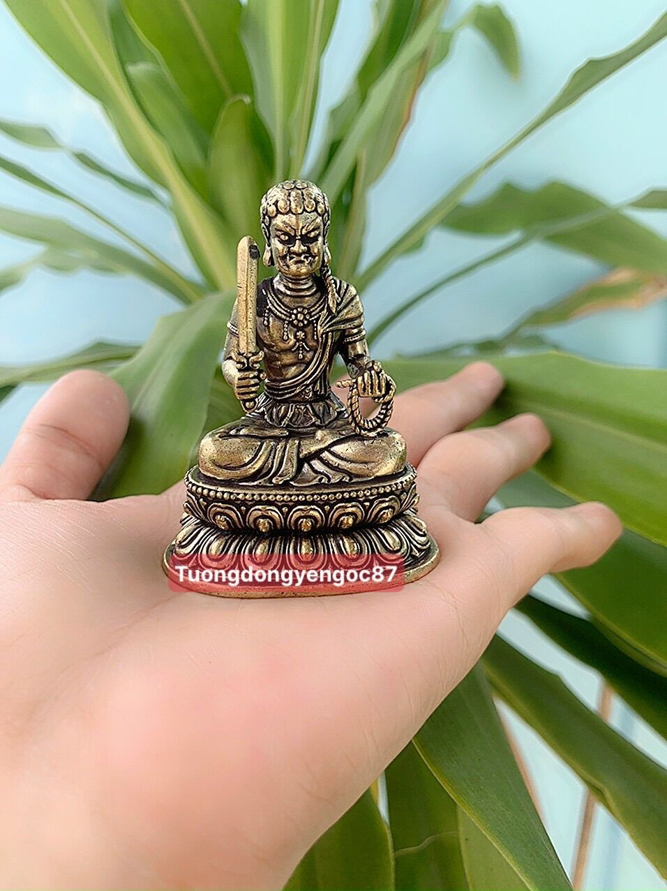 Tượng đồng Bất động minh vương