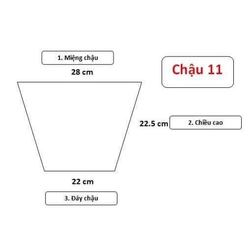 COMBO 5 Cái Chậu Nhựa ĐỎ+ ĐEN C11 (Loại dày tốt)