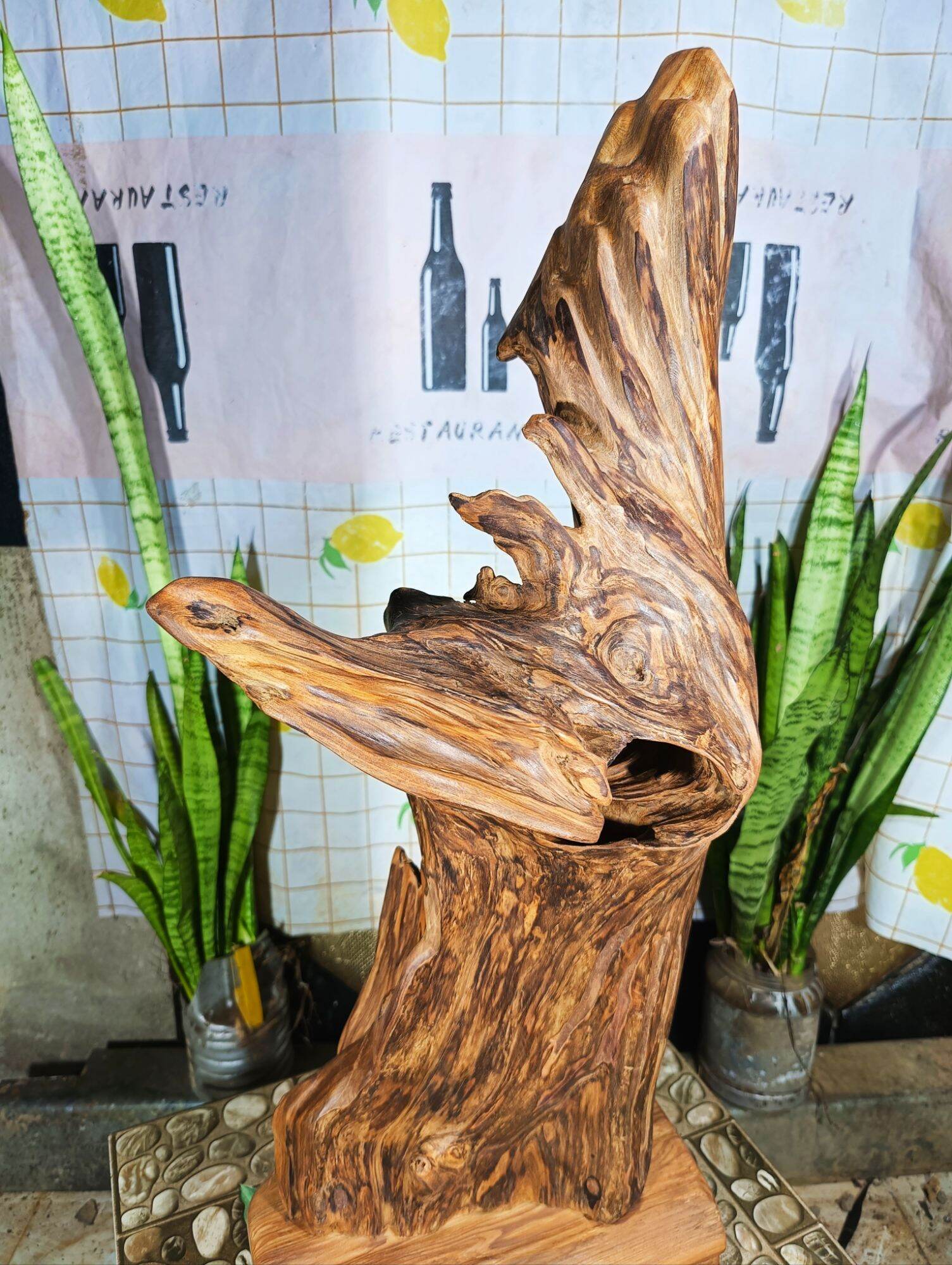 lũa gỗ thơm ngọc am đỏ hà giang