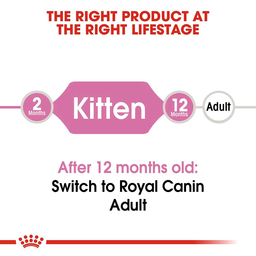 Hạt Royal Canin cho mèo con - túi chiết 1kg