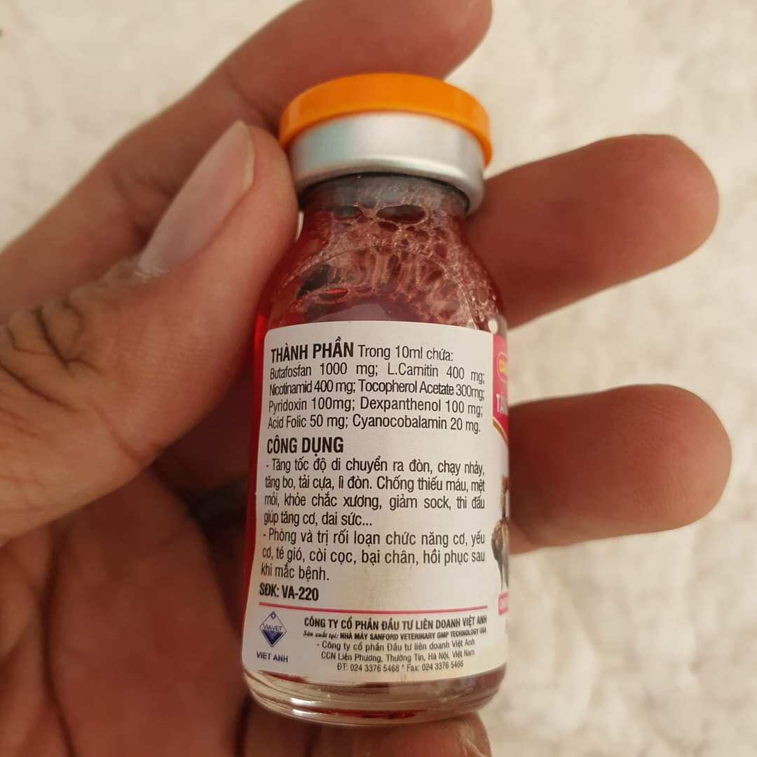 CARNITOSAL 10NL TĂNG LỰC - TĂNG BO CHO GÀ ĐÁ