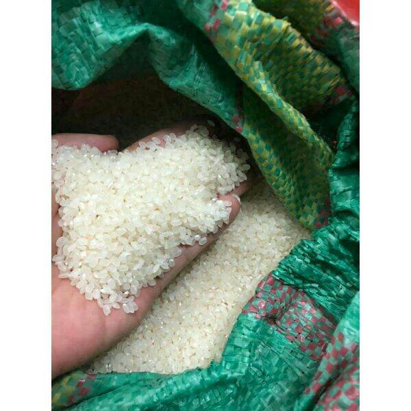 500g gạo nếp loại 1