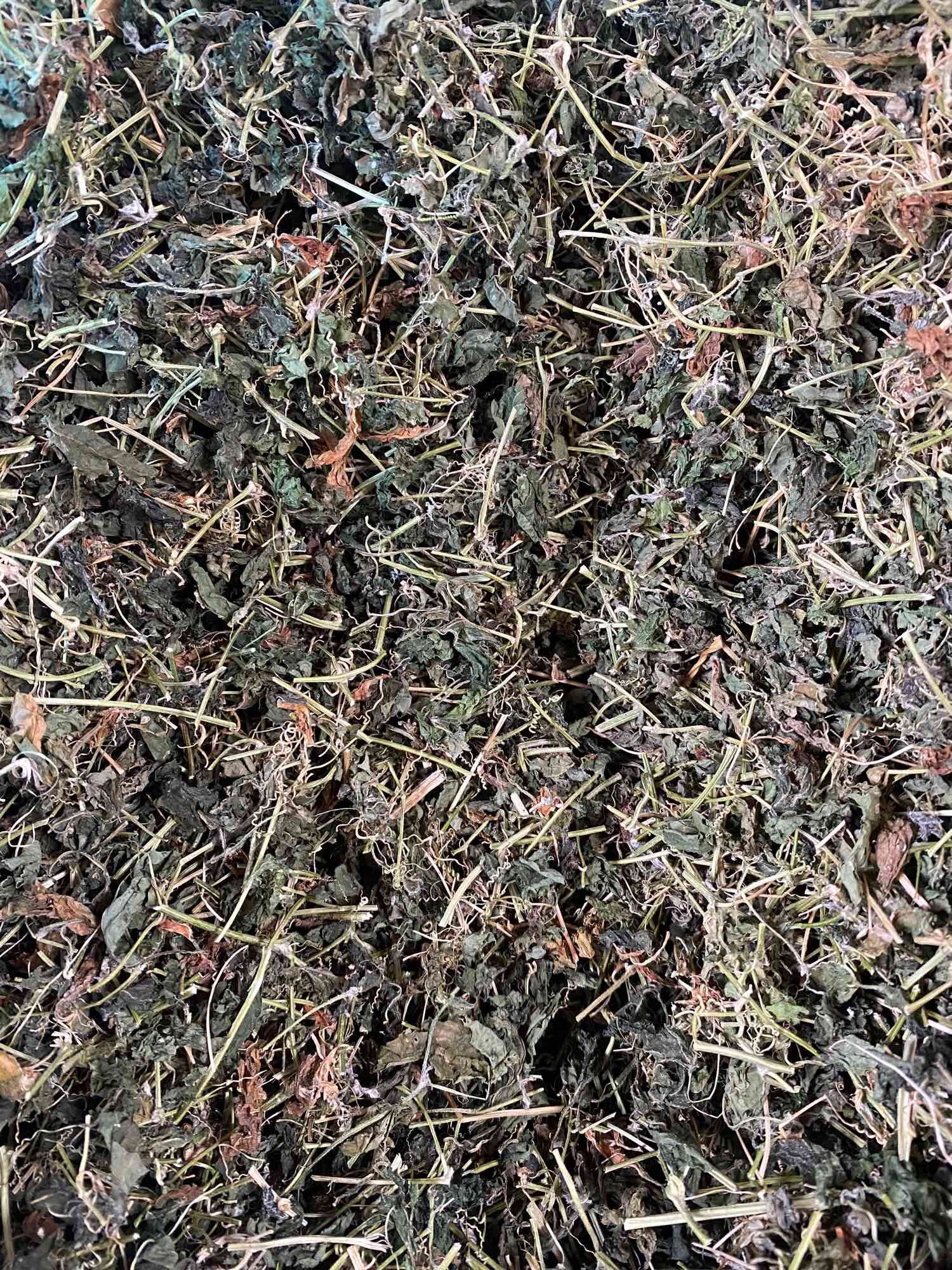 500g Trà Thảo Mộc Khổ Qua Rừng
