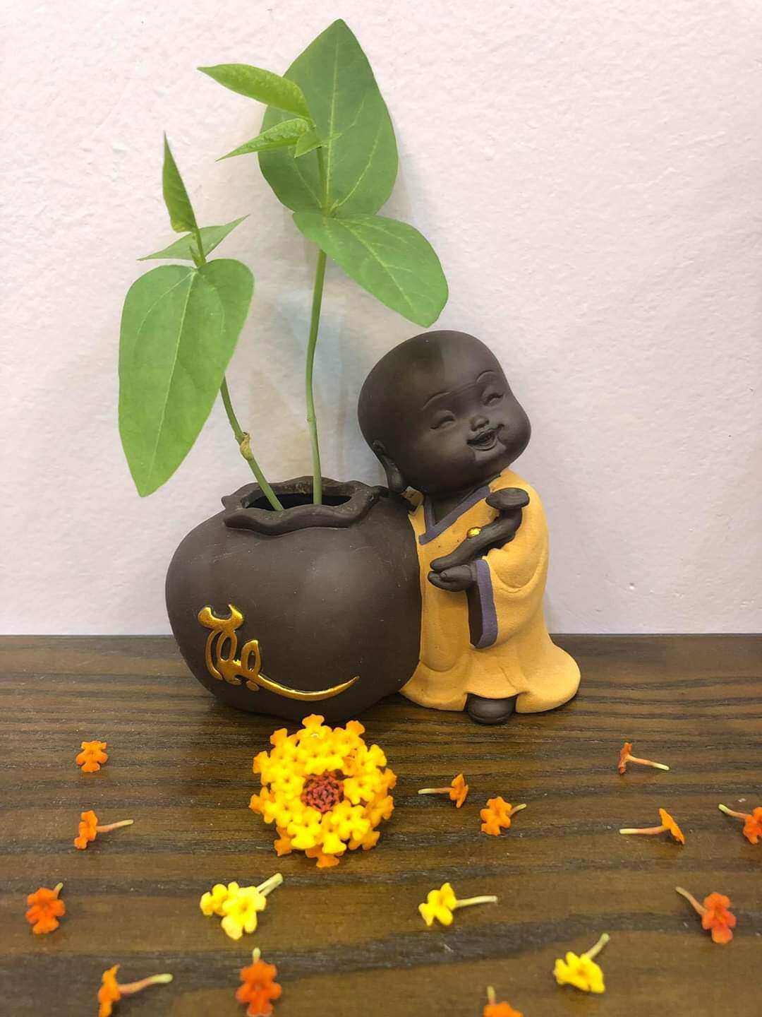 Bộ 5 tượng chú tiểu bên chậu gốm