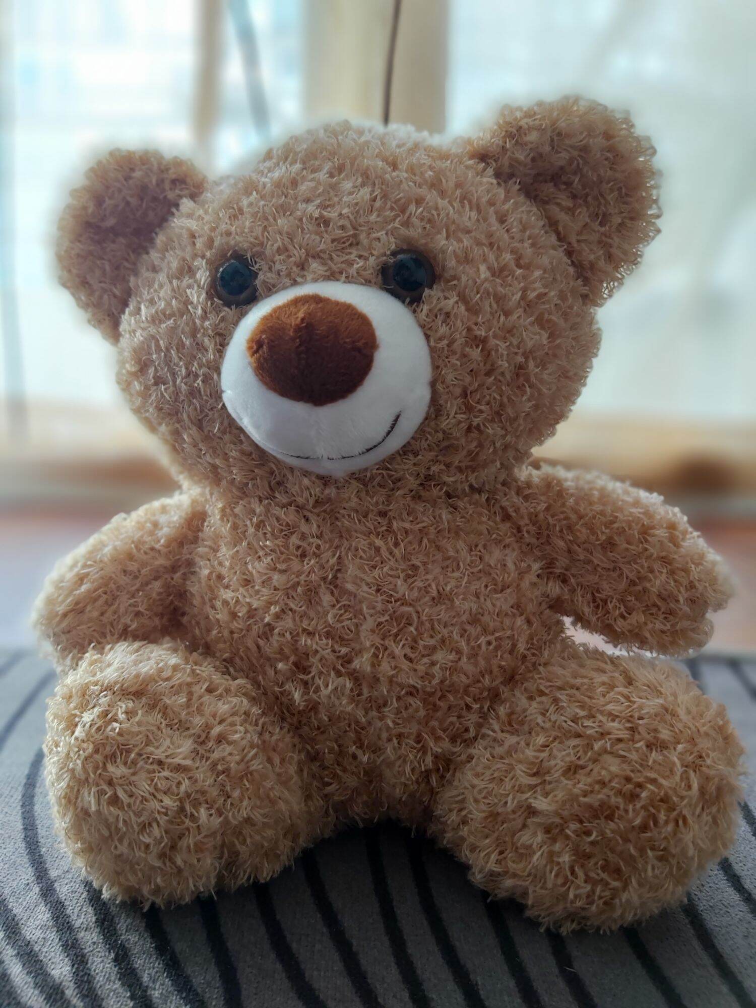 Gấu Bông Teddy Head Tales Nhồi Bông Lông Xù Cao cấp