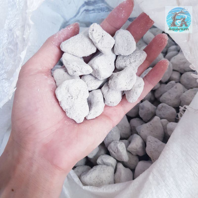 500g Đá lông vũ | Nham thạch trắng Turkey