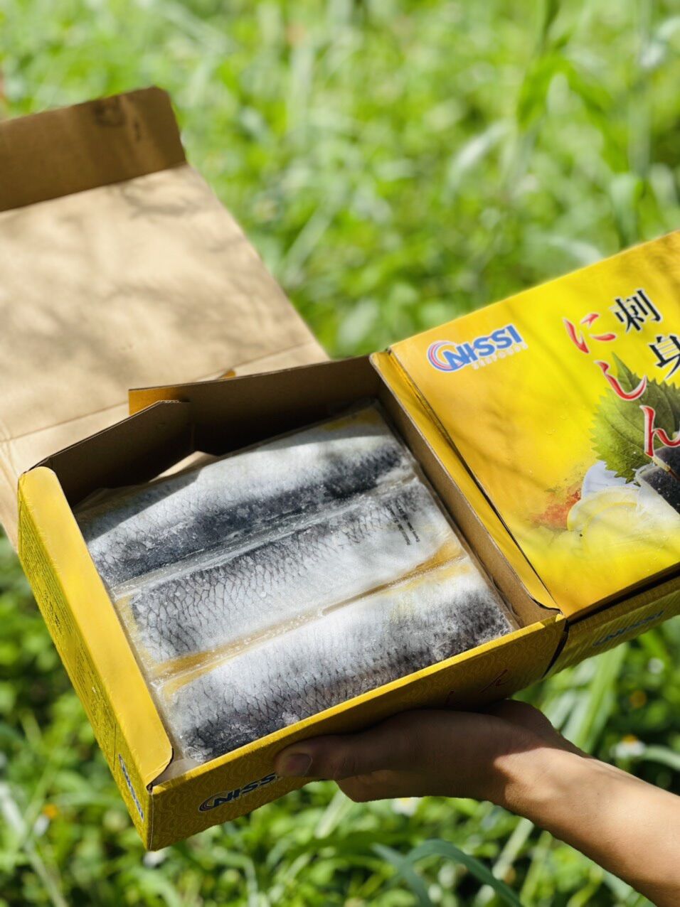 [GIAO NHANH 2H HCM] Cá Trích Ép Trứng Nhật (màu ngẫu nhiên) Giá sỉ (1Kg)