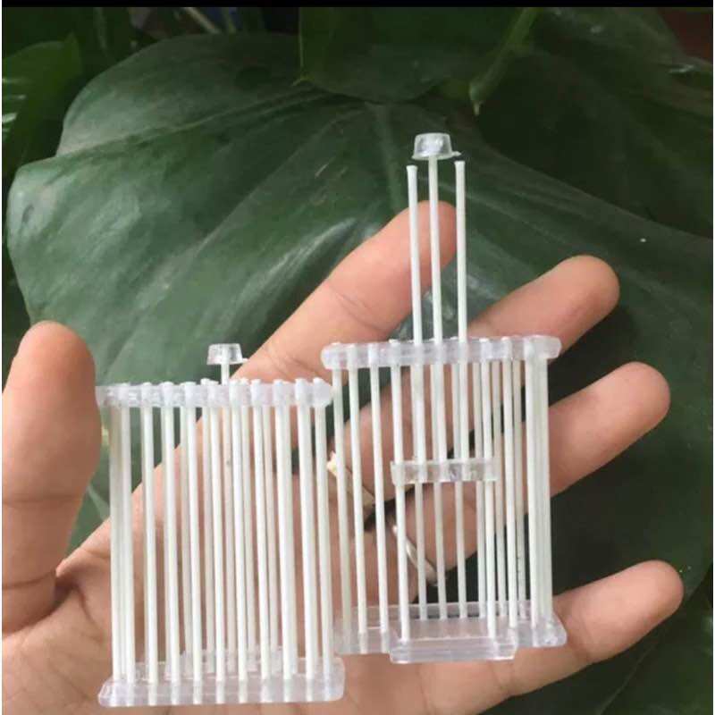 Rọ dế,rọ cào cào cho mào,mi,choè