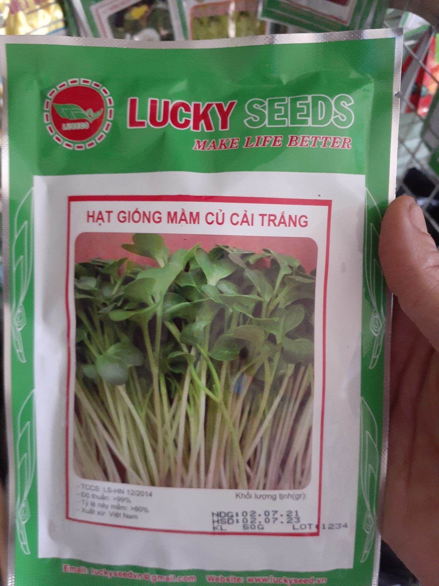 50GR HẠT GIỐNG RAU MẦM CỦ CẢI TRẮNG