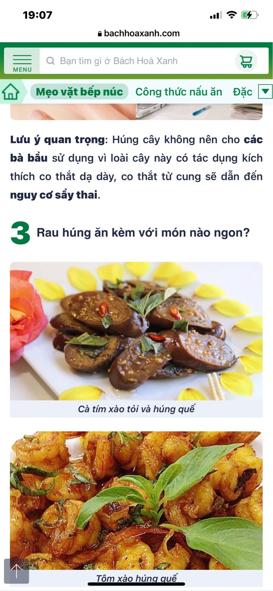 Chậu rau húng cây