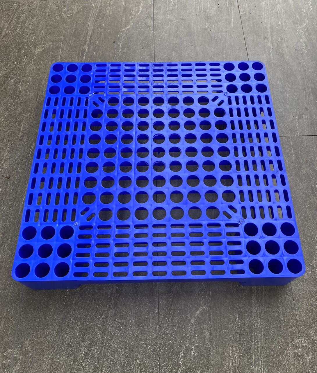 Pallet nhựa  60x60x10cm