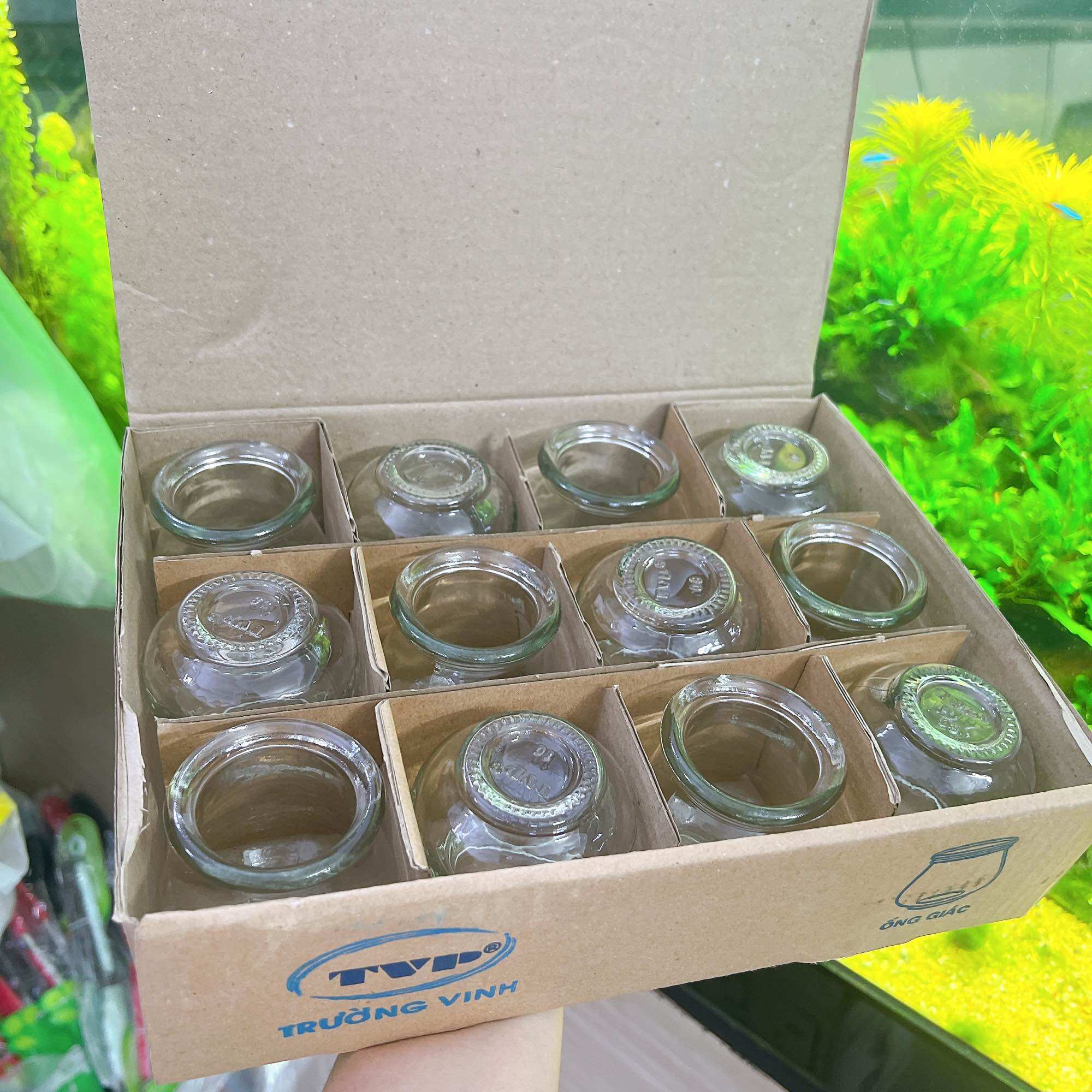 Bộ 12 ống giác hơi - Bộ vắt hơi thuỷ tinh