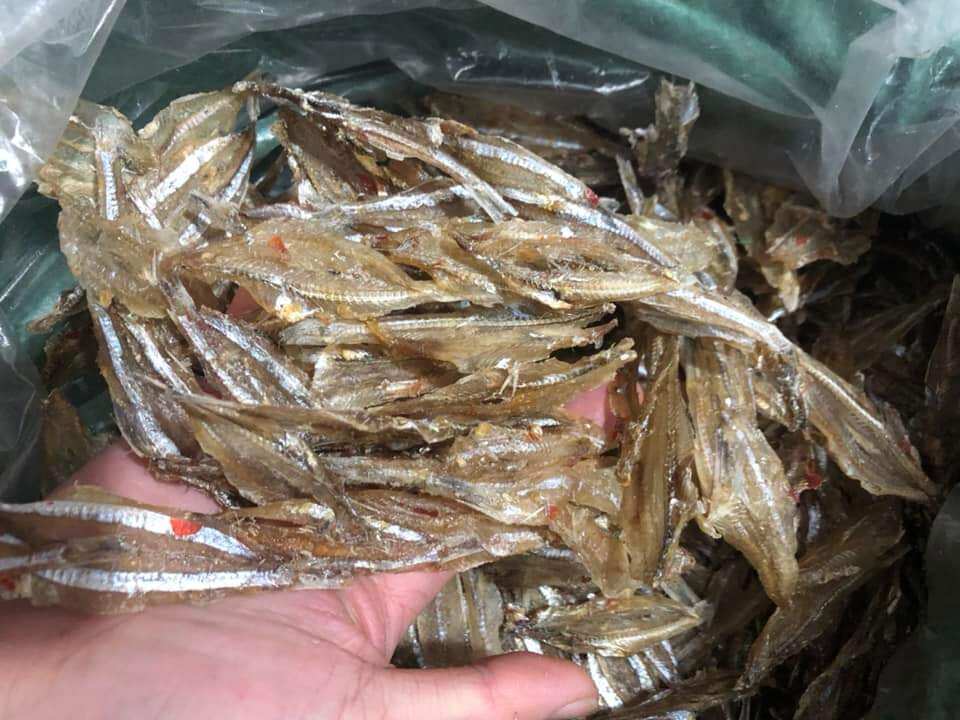 1kg Cá Cơm Khô (cá chi chi, cá chi, cá ruội) Loại Ngon Đặc Biệt