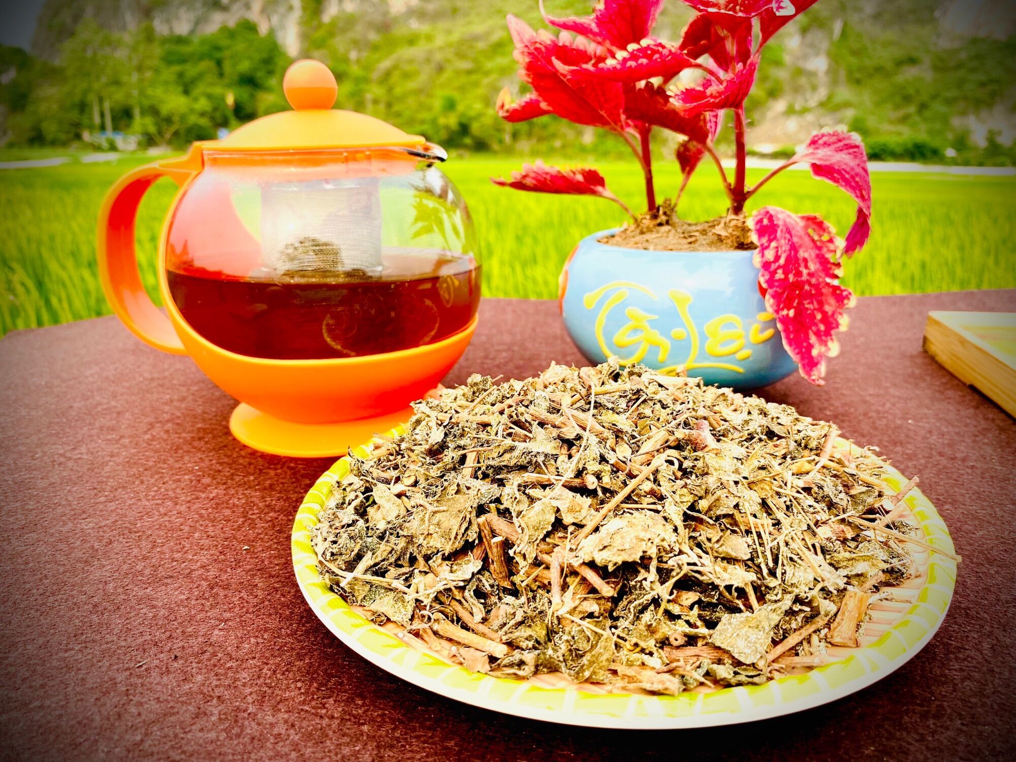 CHÈ DÂY CAO BẰNG - LOẠI ĐẸP 1KG