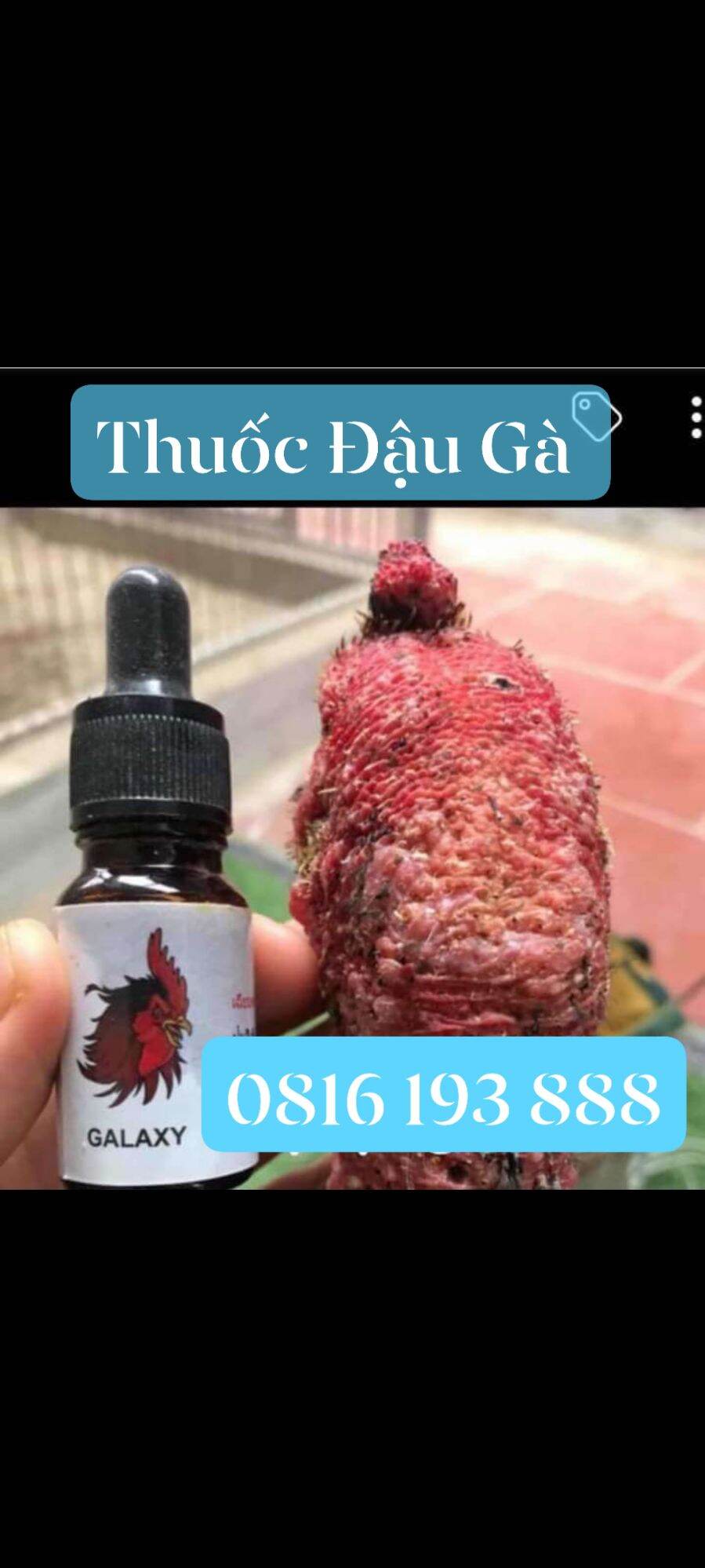 T rị bệnh đậu gà