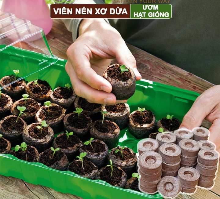 Combo 50 viên nén ươm mầm- viên nén sơ dừa