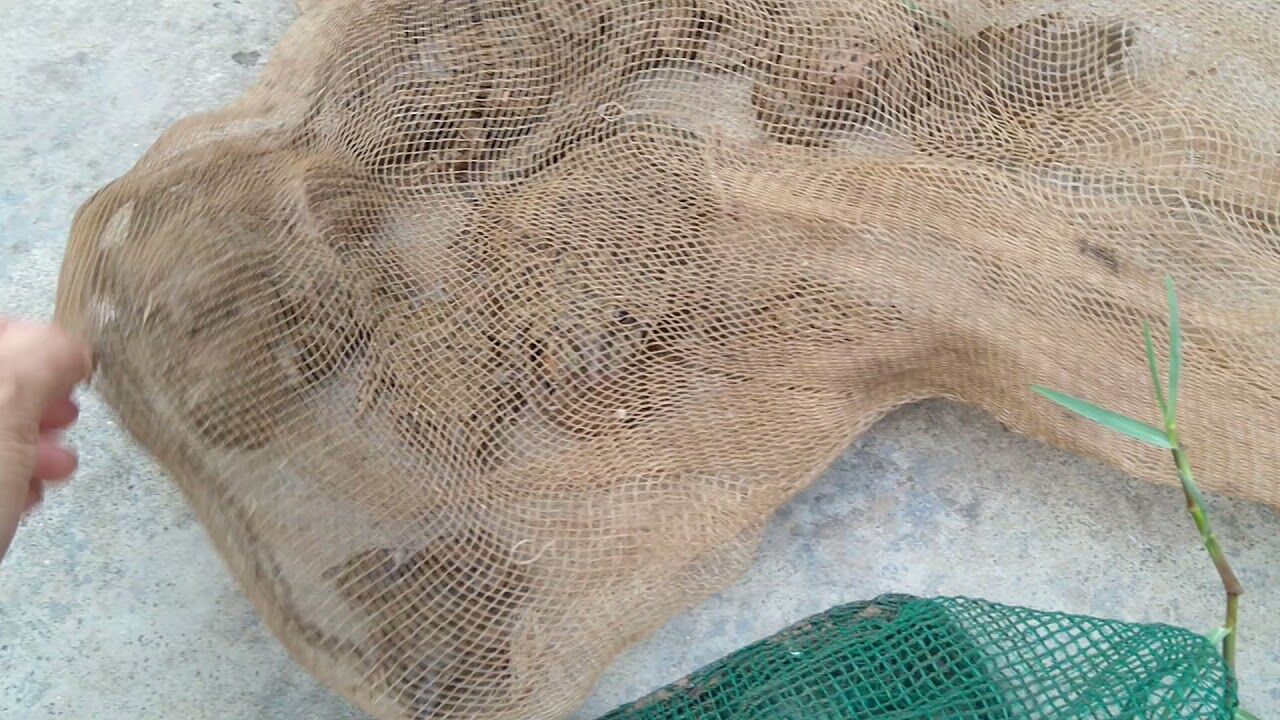 lợp bẫy ếch đồng đa năng