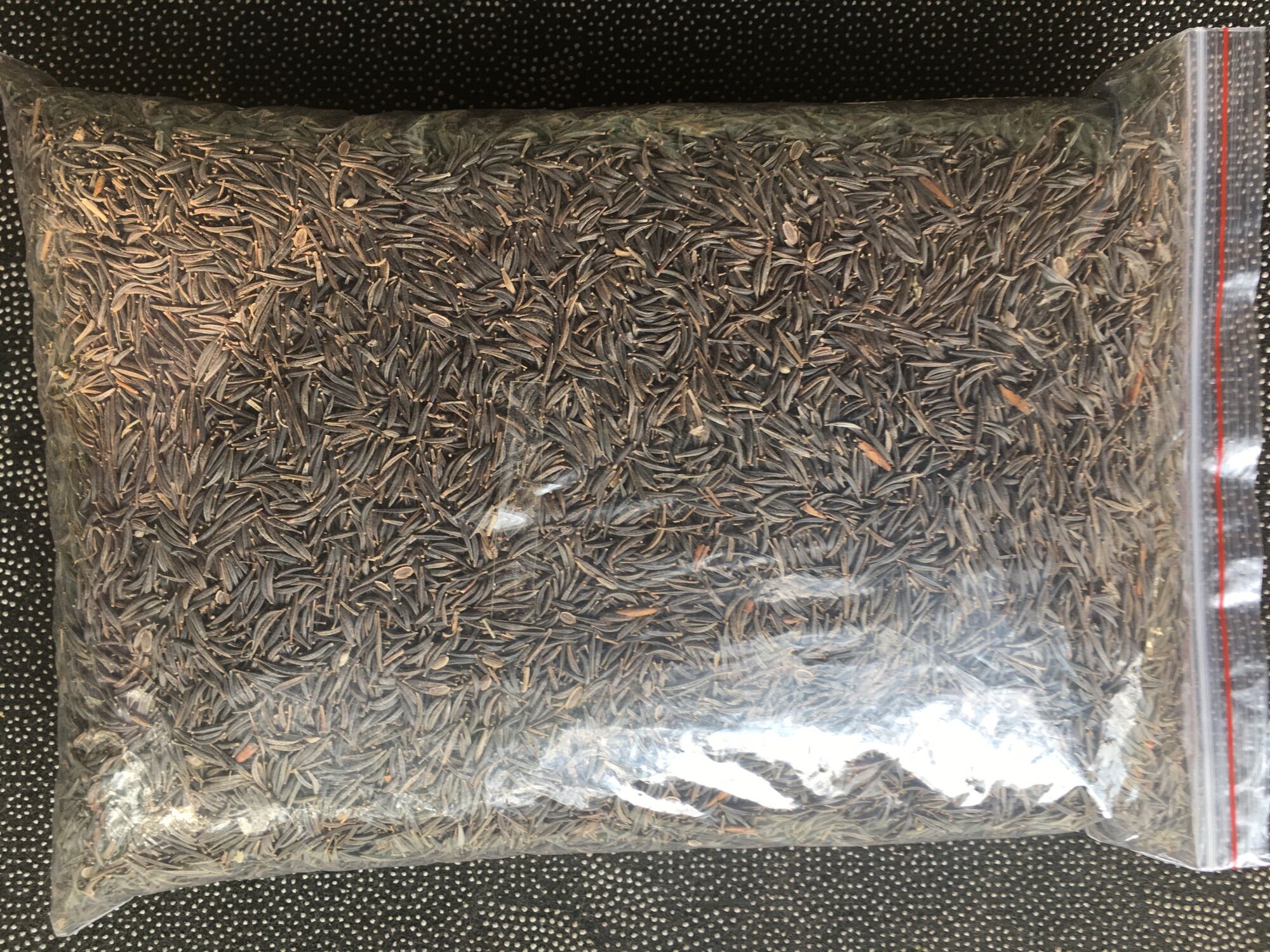 [ FREE SHIP 1kg] Hạt Giống Hoa Sao Nhái Mix Đủ Màu