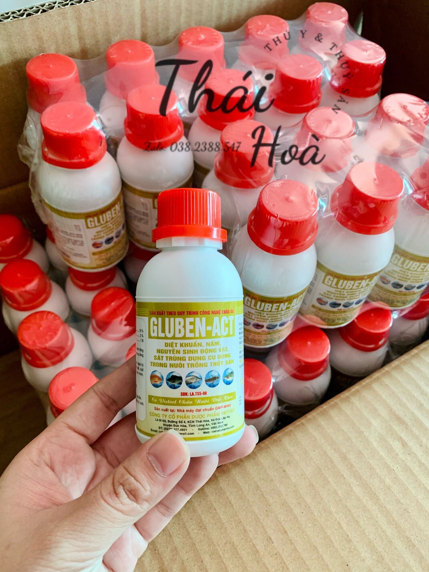 Gluben ACT 100ml