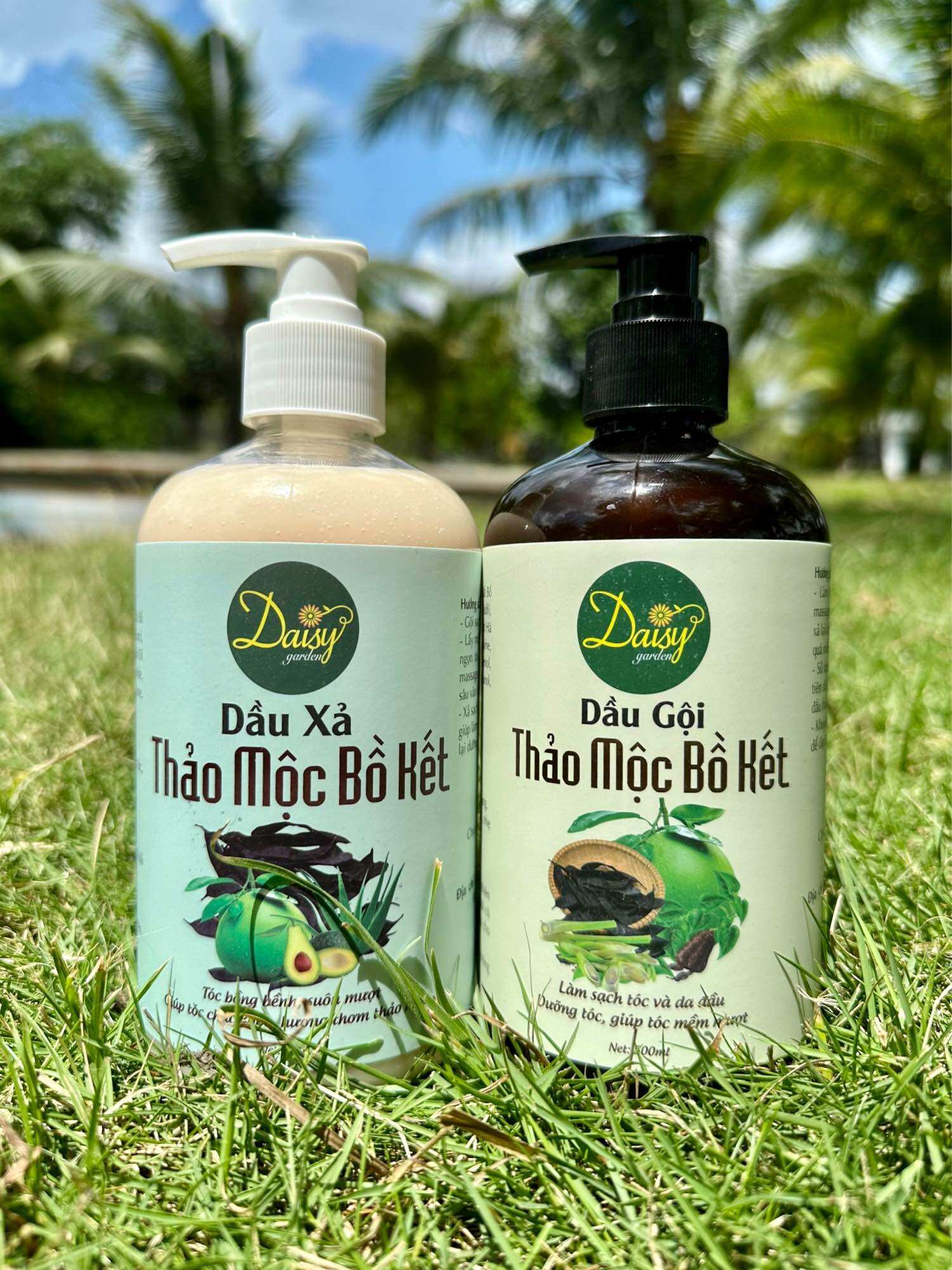 Dầu gội thảo mộc bồ kết Daisy Garden