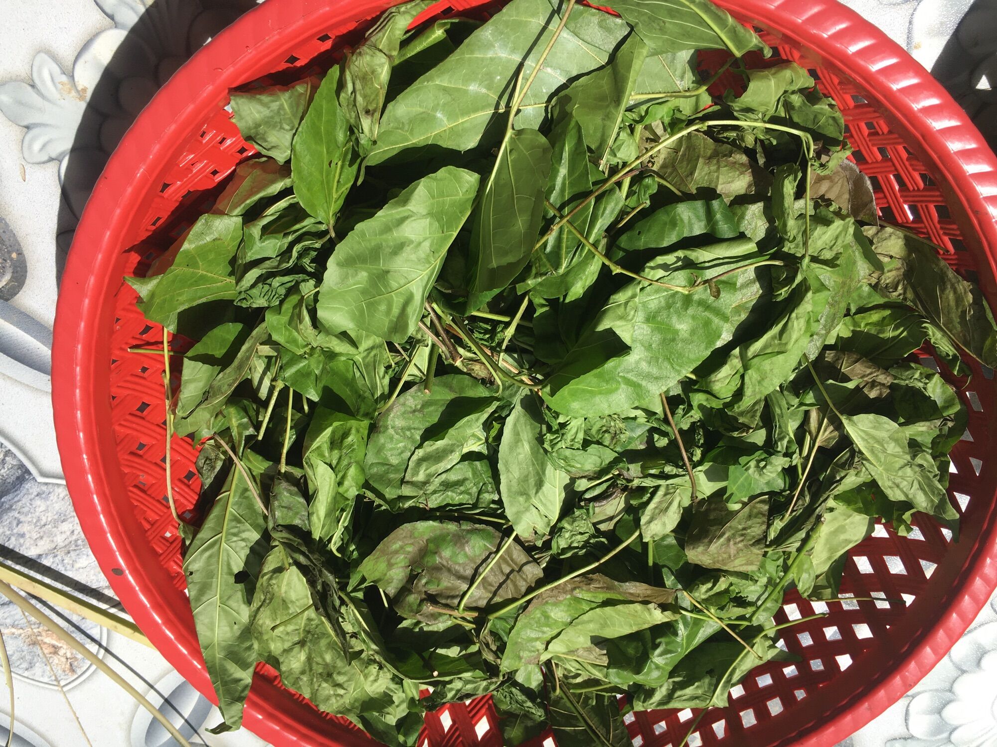 2kg lá cách phơi khô cả thân và lá