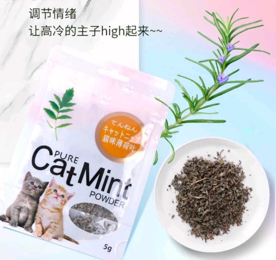 [Q12]Cỏ bạc hà Catnip / catmin cho mèo gói 5g