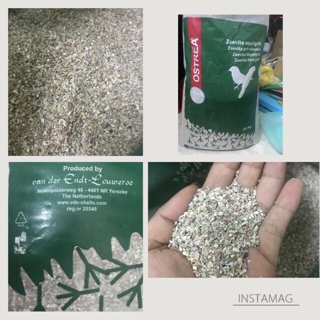 200g khoáng Grit cao cấp cho chim vẹt .