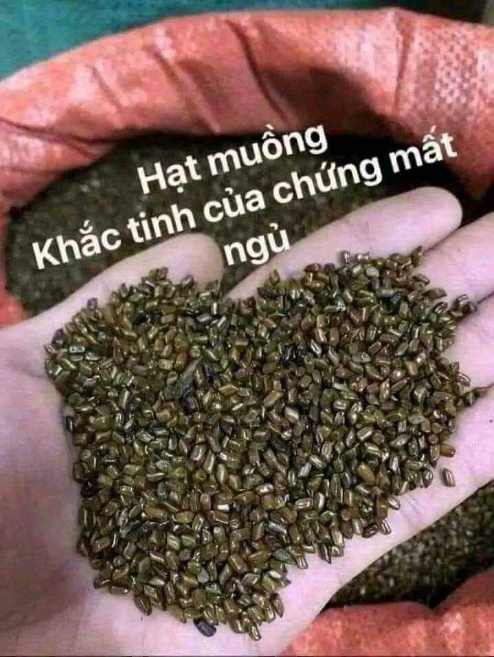 100g hạt muồng tri mất ngủ kéo dai,suy nhược thần kinh hiệu quả